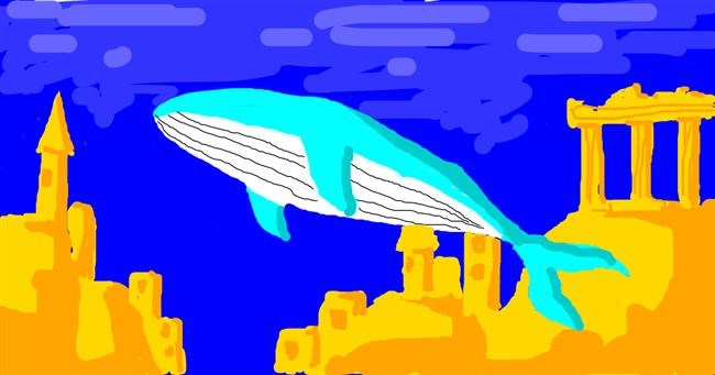 Drawing of Whale by grace