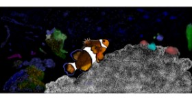 Drawing of Clownfish by Çhåching
