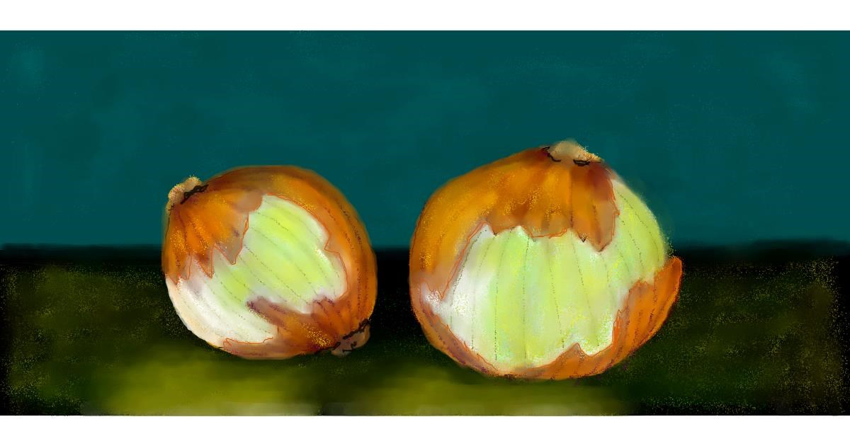Drawing of Onion by Debidolittle
