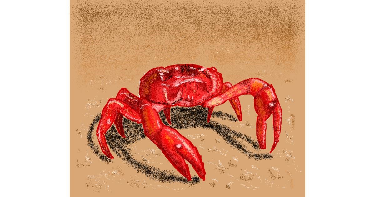 Drawing of Crab by Sam