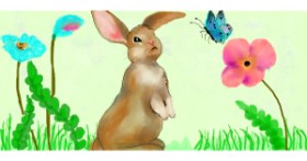 Drawing of Bunny by DebbyLee