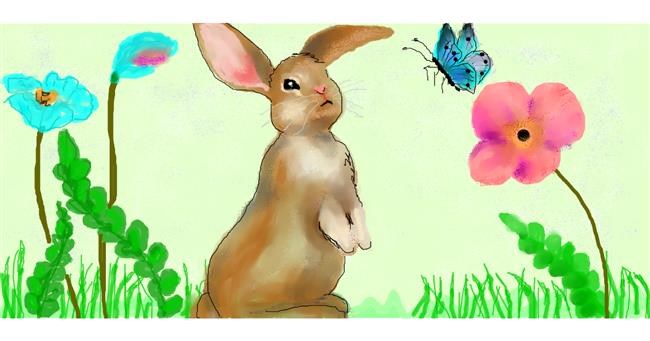 Drawing of Bunny by Debidolittle