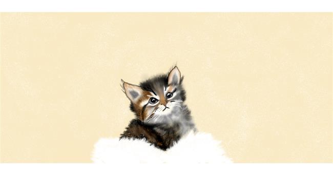Drawing of Kitten by Chaching