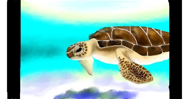 Drawing of Sea turtle by Zi