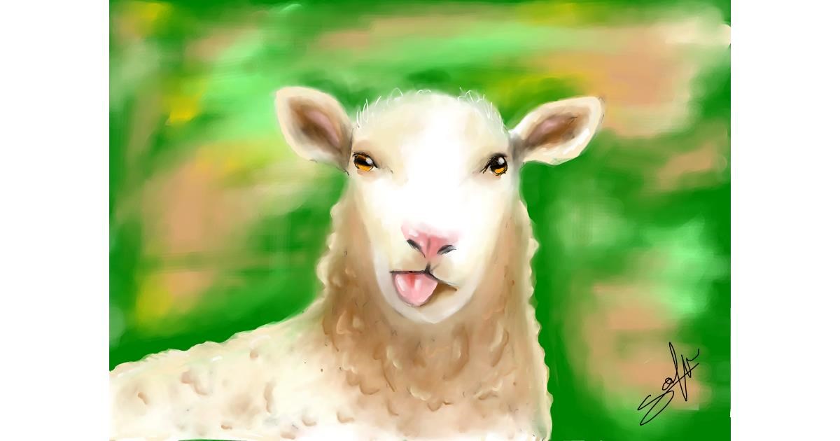 Drawing of Sheep by Sophie_draw24