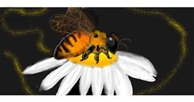 Biene-Zeichnung von Colliope