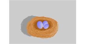 Drawing of Nest by Lucy