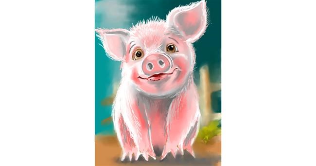 Drawing of Pig by ⋆su⋆vinci彡