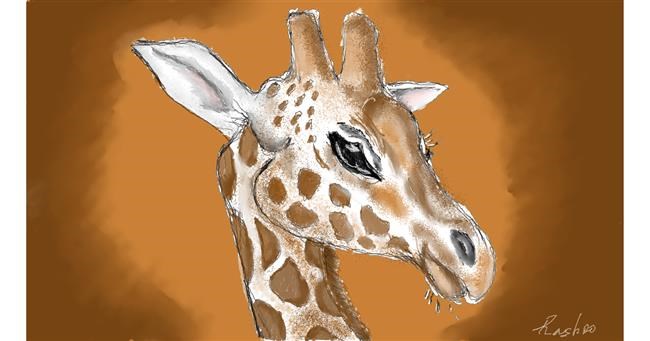 Drawing of Giraffe by Rush