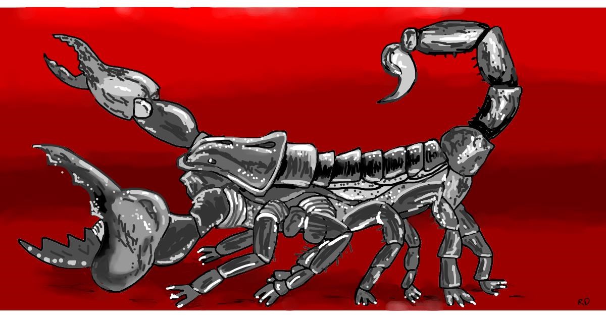 Full Size Drawing