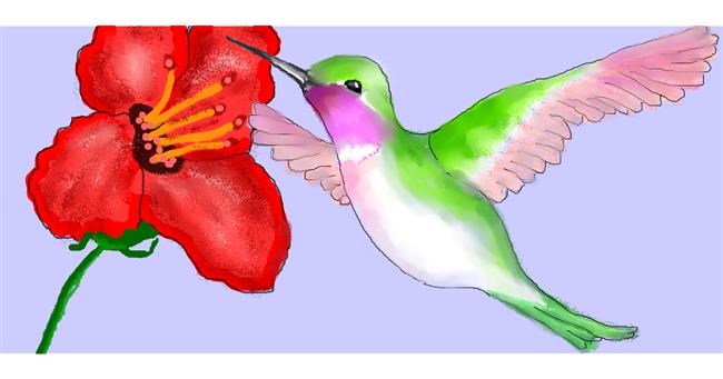 Drawing of Hummingbird by Debidolittle