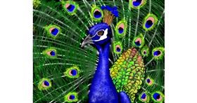 Drawing of Peacock by Cec