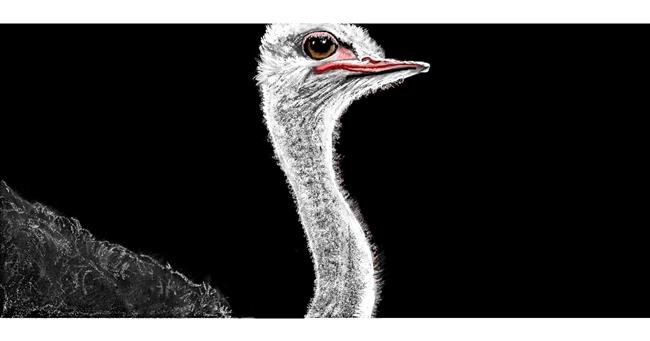 #word-Zeichnung von #artist
                .Replace(