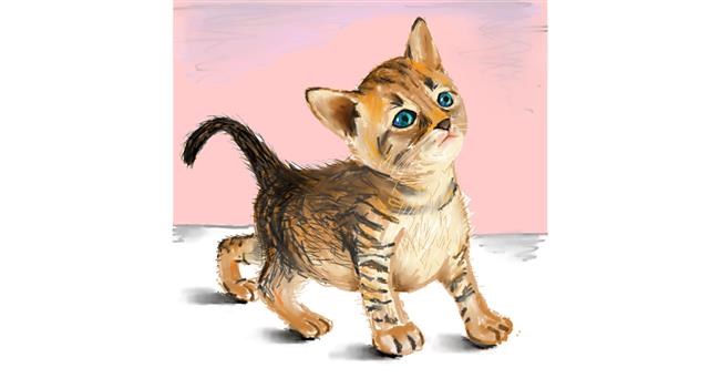 Katze-Zeichnung von Andromeda