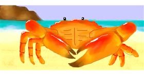 Drawing of Crab by Alex