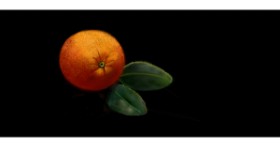 Drawing of Orange by Çhåching