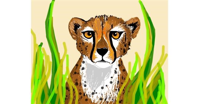 Drawing of Cheetah by Darta