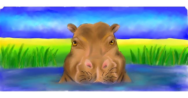 Drawing of Hippo by Lala