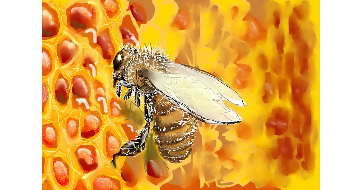 Drawing of Bee by DaVinky