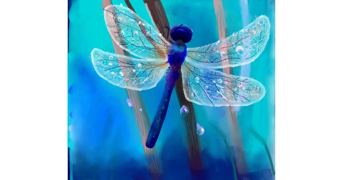 Drawing of Dragonfly by Ja