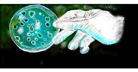 Drawing of Bacteria by Suzie