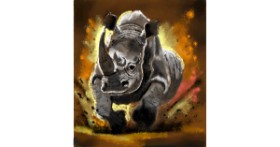 Drawing of Rhino by Loz