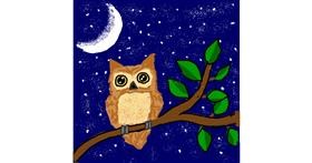 Drawing of Owl by MaRi