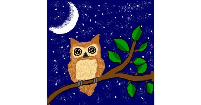 Drawing of Owl by MaRi