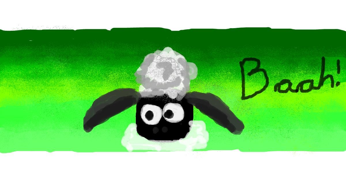 Drawing of Sheep by Pipa
