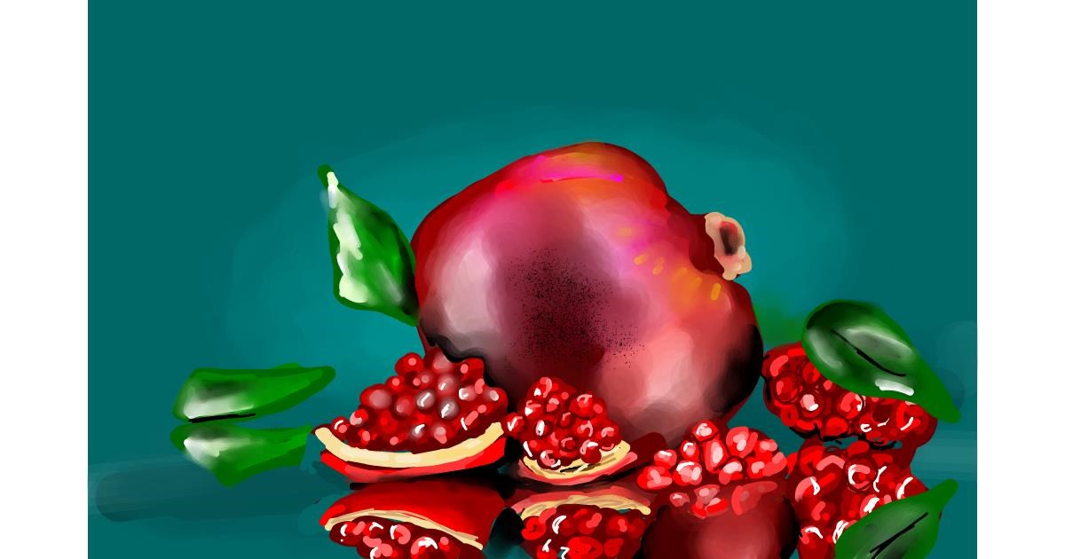 Drawing of Pomegranate by Rose rocket