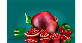 Drawing of Pomegranate by Rose rocket