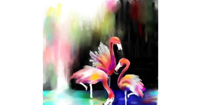 Drawing of Flamingo by mr yj