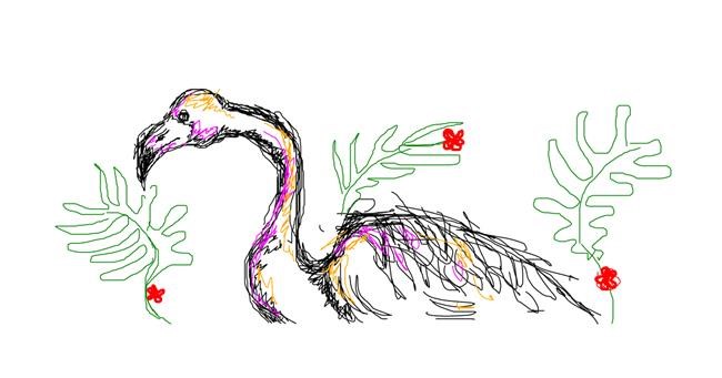 Drawing of Flamingo by hahah