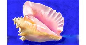 Drawing of Seashell by GJP