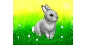Drawing of Bunny by Gabby