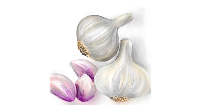 Drawing of Garlic by ⋆su⋆vinci彡