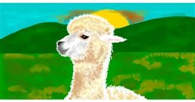 Ljama - autor: Temüjin