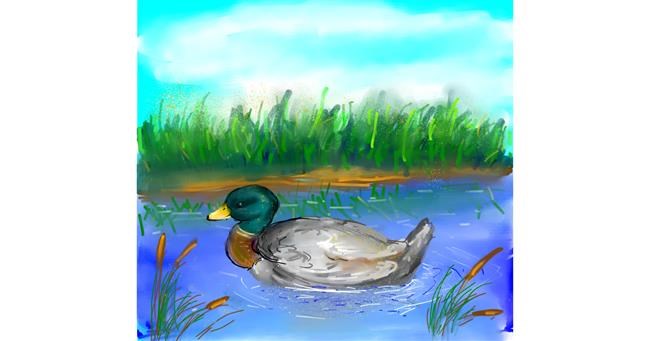 Drawing of Duck by Sn00pi