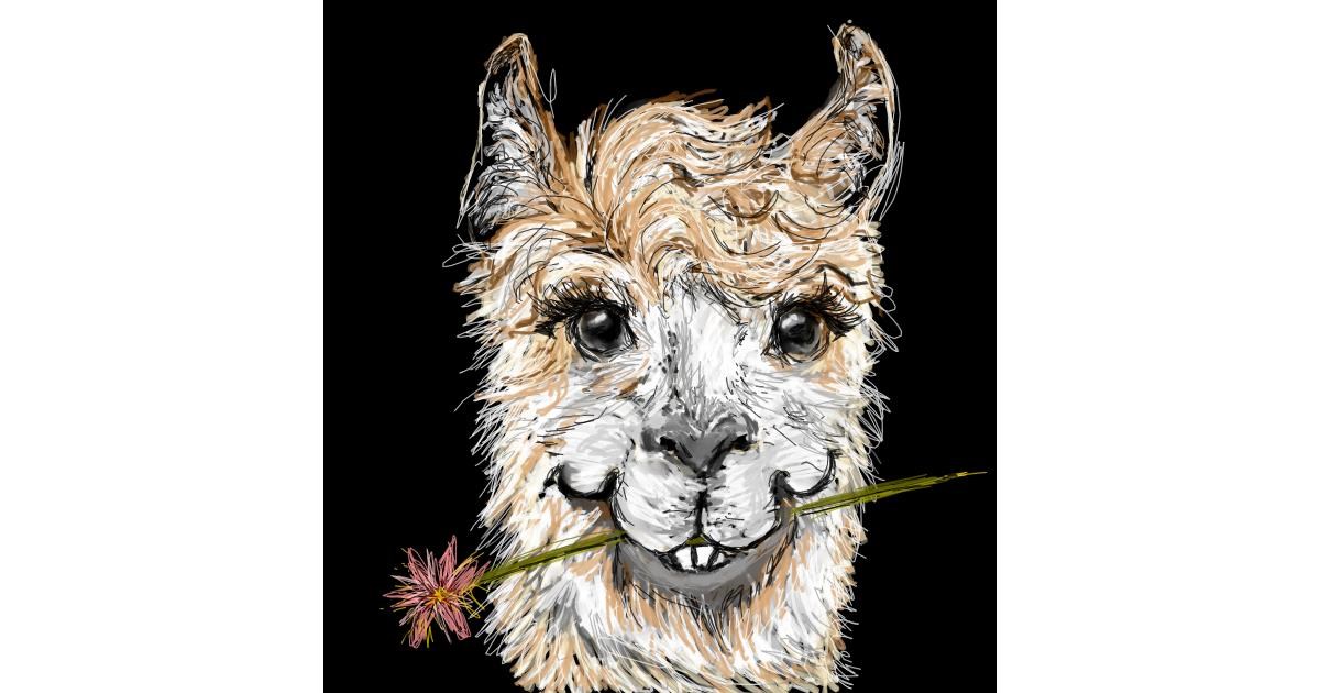 Drawing of Llama by 👽mint