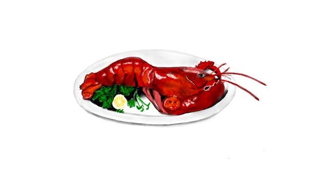 Drawing of Lobster by Chaching