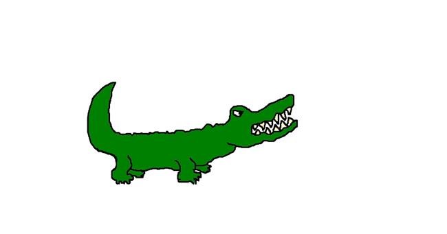 Drawing of Alligator by cheesy monkey 🐵