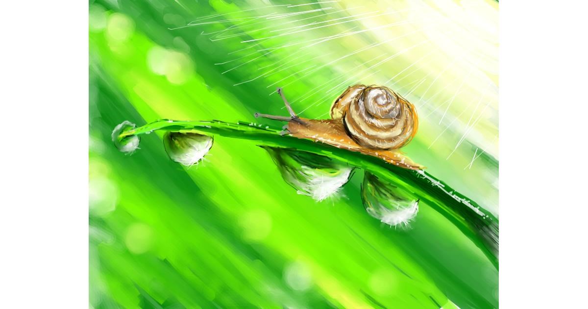 Drawing of Snail by Gabby