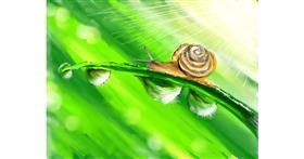 Drawing of Snail by Gabby