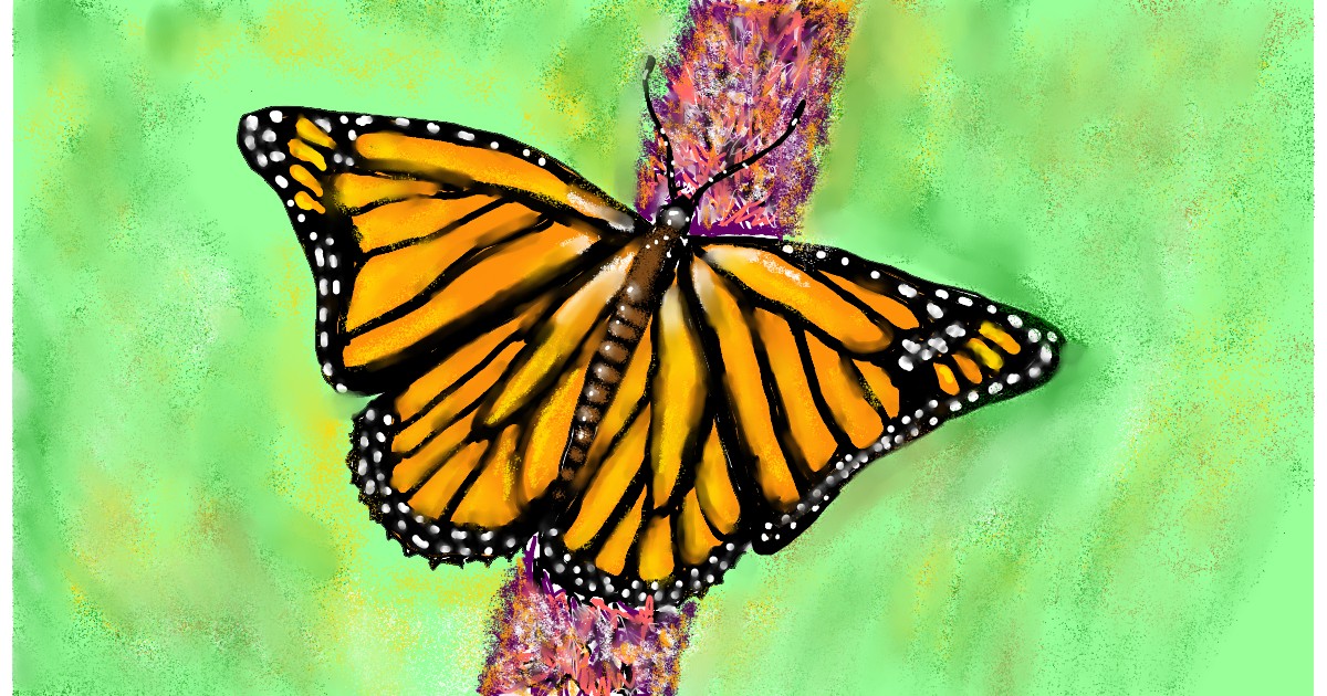 Full Size Drawing