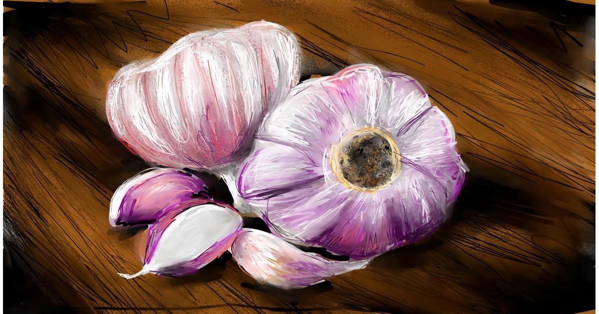 Drawing of Garlic by Soaring Sunshine