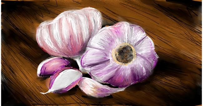 Drawing of Garlic by Mia