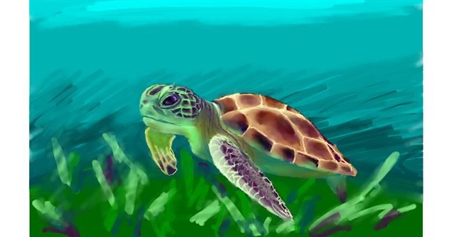 Drawing of Sea turtle by Sjkdovey