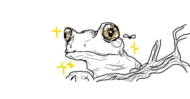 Drawing of Frog by Dot