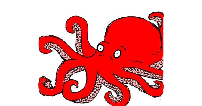 Drawing of Octopus by Feli