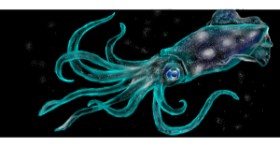 Drawing of Squid by Ryomen